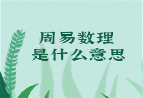 姓名数理能断吉凶 51~60数理运程详细解读版