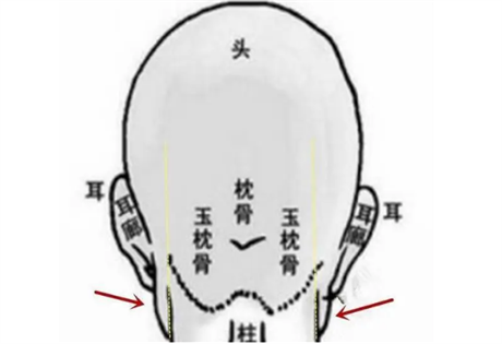 面相图解：声音发自丹田的人能长寿；玉枕骨的人能富贵；地库润泽的人多福