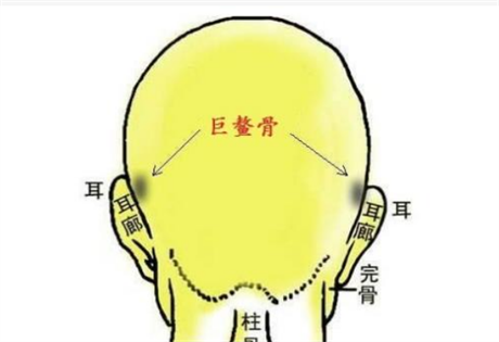 面相识人：什么是相骨术?教你快速学会如何看一个人的骨相