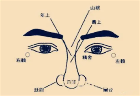 面相识人：月孛圆平者长寿；鼻主肺，需端正高耸