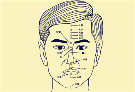 面相图解：上府的吉凶论断；男子凶相；男子贵相