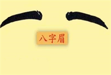 眉毛识人术：眉形带勾，心机颇深；八字眉，无大事业；剑眉，业绩辉煌