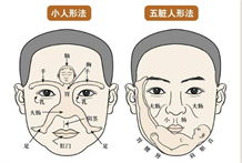 面相学：有温柔体贴特质的人，在面相上会有哪些特征呢