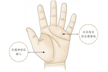 手相学：从手相学来了解功名线有无与财运