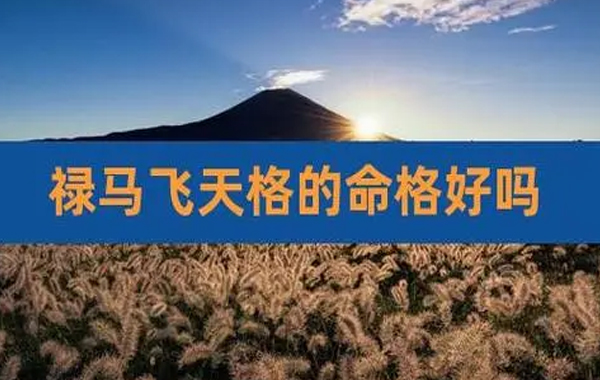 飞天禄马格，格以庚壬二日用子字多，比如庚子、壬子冲午中丁己为官星