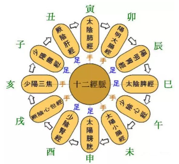 五运六气的运行变化：年运与河图、洛书的数理关系