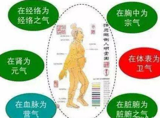 一分为二议补泄 通常达变析六气 只有保护正气,才有应变防病的能力