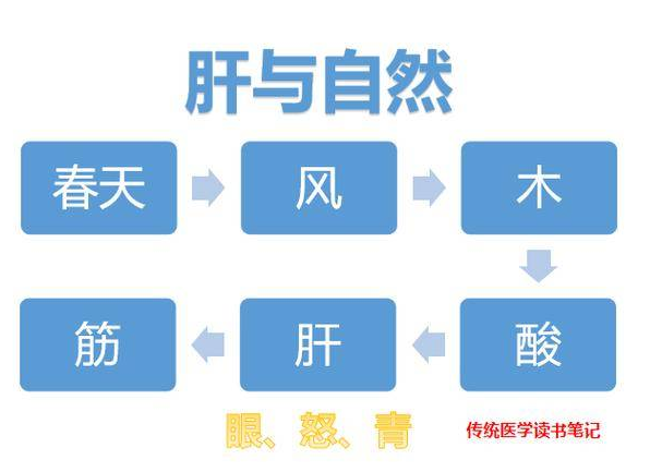 天地生万物者，五气;五气定位，则五味生；气者，天也。