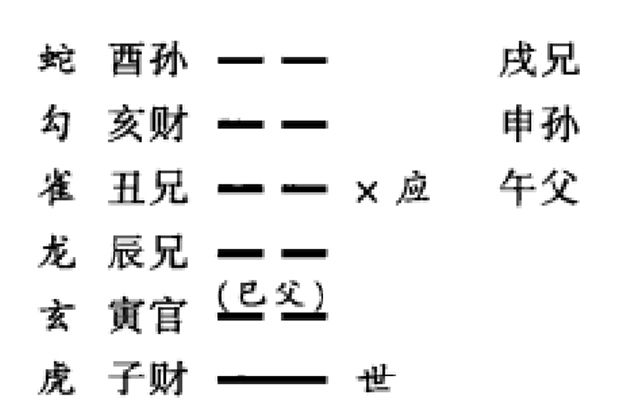 月建日辰所属六亲五行对卦爻的含义；月建日辰为外部力量、外部人士，高级别行为