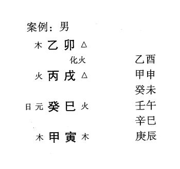 八字命理弱势格局:从势格标准格局举例说明(一)