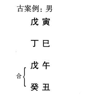 化格之戊癸化火格案例:天干戊癸合化，得月令巳火，地支巳午，忌金水而喜木火