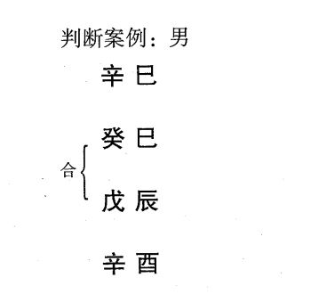 化格之戊癸化火格案例:天干戊癸合化，得月令巳火，地支巳午，忌金水而喜木火