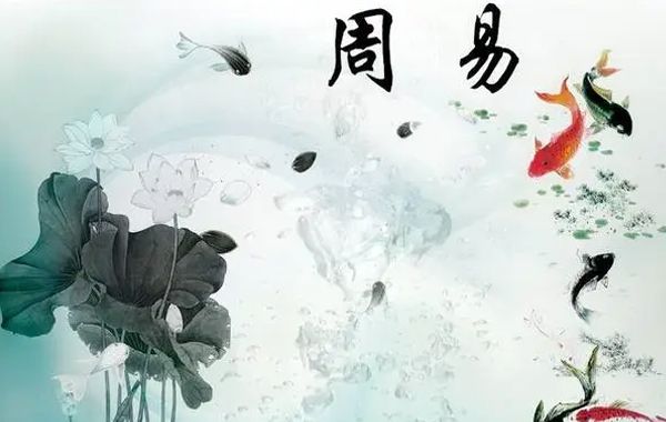 《易经》是命理学的理论依据；不能妄论生老病死；不能演变为“宿命论”