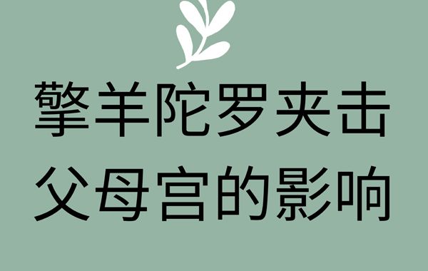 紫薇星耀星擎羊星情总论、风水、地理类象、旺度以及与擎羊有关的格局