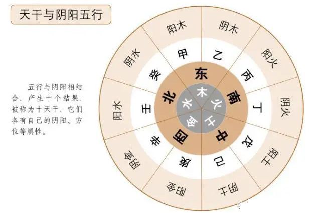 天干地支的阴阳五行属性及方位，天干地支对应五行属性、生肖