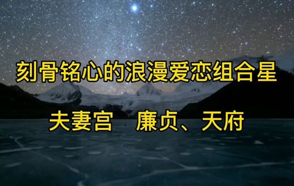 廉贞入夫妻宫者，其人属于不幸的婚姻类型，有被虐待或生离死别之倾向