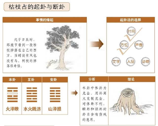 《梅花易数》古例精解——植物占例：枯枝坠地占，梅花易数占断不传之秘，枯枝坠地占如何进行占卜的？