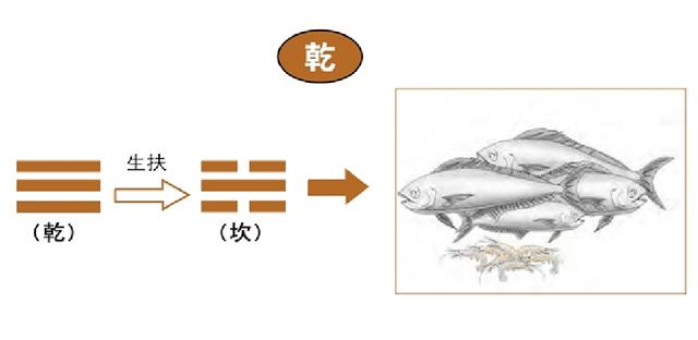 离卦、兑卦所对应的食物，从易经八卦中学习健康饮食，八字中的食代表什么