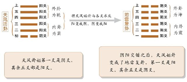 《梅花易数》——占物类例：爻辞的应用，凡看物数，看其成卦，观其爻辞