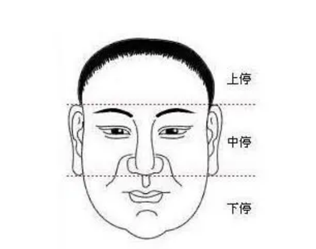 面相图解：面上三停与身上三停；五岳朝归，财自旺；地阁丰盈，晚年富贵