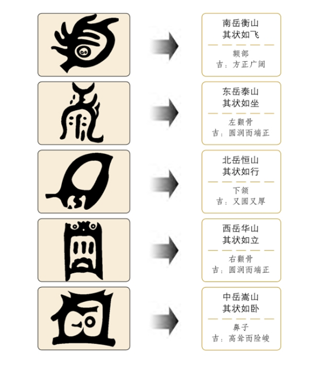 面相图解：鼻子丰隆，人生显贵；额头宽阔，早年荣华；眉清目秀，主人聪明