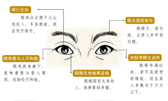 面相图解：眼睛的不吉之相；系视心圆而无定，狼顾性狠而难名