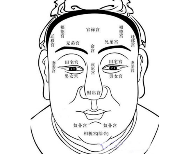 相法原理是什么？相法为什么能预测准？相法背后的逻辑是什么