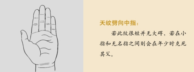 手相图解：读懂手相了解自己的运势；华盖纹；朝天纹；奴仆纹