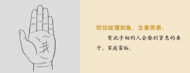 手相图解：手掌纹路预示人一生运势；三才纹；千金纹；离卦纹；震卦纹