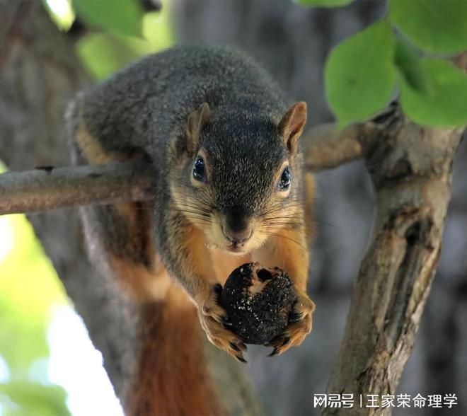 什么叫“母仓“，母仓是什么贵人？母仓日是吉日还是凶日？