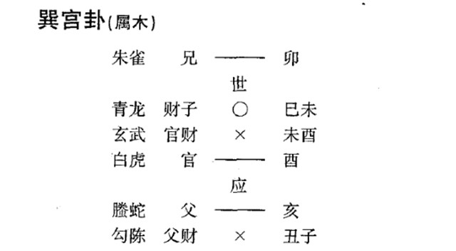 六爻预测病理病因实例：丑未戌三刑俱全需详察;巽化有原神空破损妻房