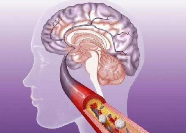 用六十甲子模型破译个体人生命奥秘例证其三：田中角荣:实现中日邦交正常化的日本前首相