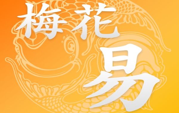 梅花新易可以用外应直接断事；梅花新易可以用比拟的方法断事