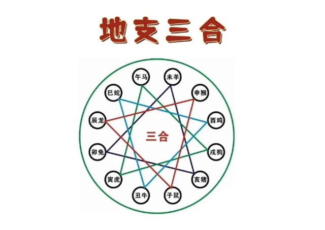 六爻占卜之什么是三合?“三合”，即把三个地支算在一起，统一确之为一个五行属性