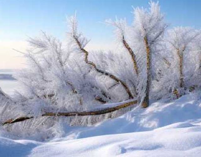 更漏中星——二十四节气之大雪、冬至、小寒。仲冬至，雪盛时，一年四季之冬季选择良辰吉日