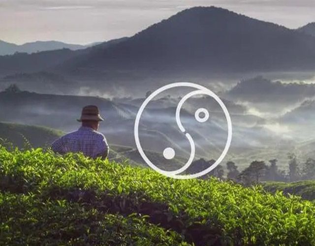 正五行择日之论扶山，何为扶山？择日基础，论扶山原则与方法(扶山秘诀)