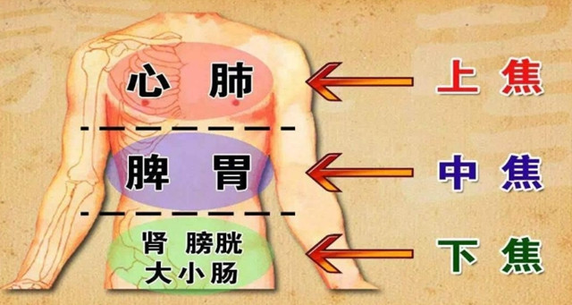 人体藏象系统生理功能旺弱的本质是宇宙五行场能量