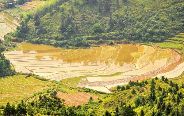 戊土己土日干生于亥月、子月宜忌：惟喜得火，水旺则溃，金多则虚，木多则崩