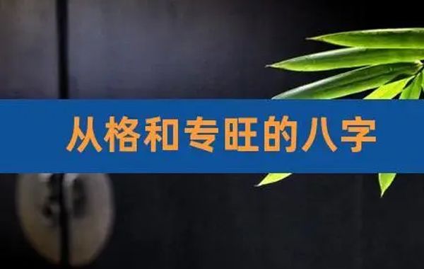 体用之变专旺者：日干与全局地支同为一类，气势偏旺于一方