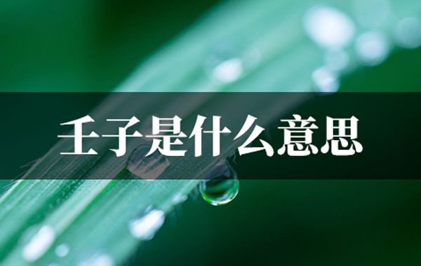 六乙日十二时辰断之庚辰时、辛巳时断：六乙日生时庚辰,水白金清化象真