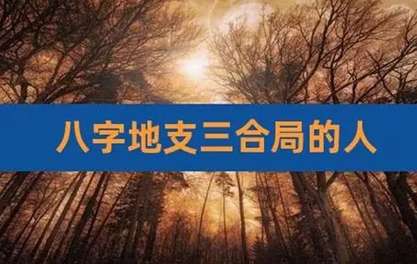 地支之间的几种基本关系：阴阳关系、五行关系、生克关系、六合、三合、六冲