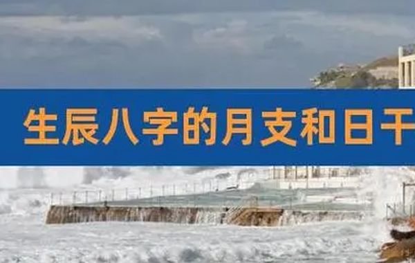 主用关系，日干为主，月支就是用神；禄马向背的关系，包括日柱和月令的相照