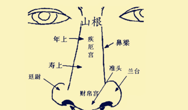 面相知识：五官部位对流年面相运势影响之鼻子篇