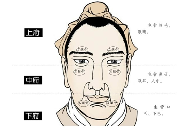 面相术：看面相要全面，知道点面相概念