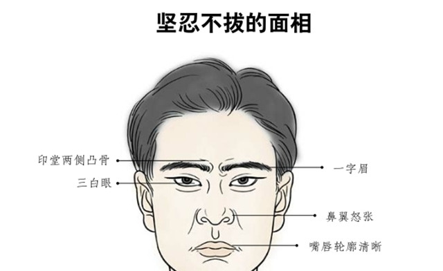 面相识人心：有这些面相特征的人做事坚韧不拔、斗志昂扬