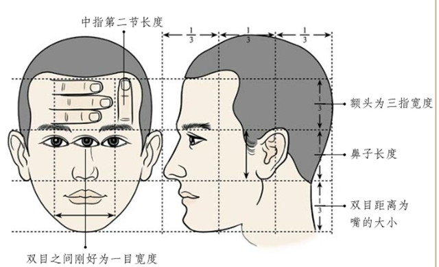 面相学：很有主见的人的面相具有哪些特征