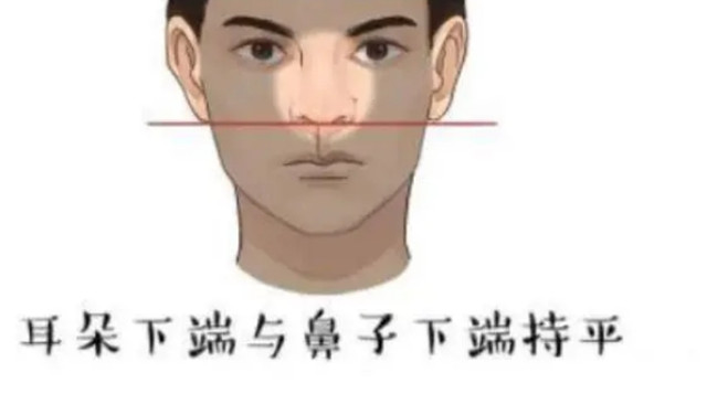 看相识人术：勤奋扎实的面相有哪些特征？