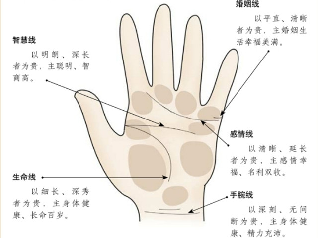 手相学：看手相的传承与发展，现代手相学还引入了《易经》学说，使理论上更加严密，判断的准确性更高