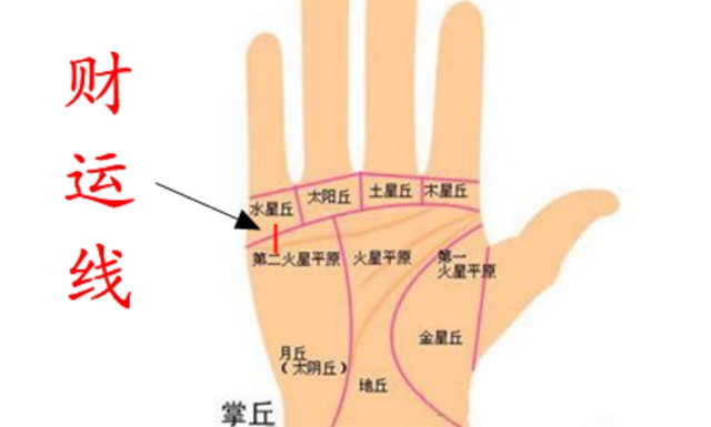 手相学：五福临门的财运线，从手相学的角度来解读给我们带来财运的财运线