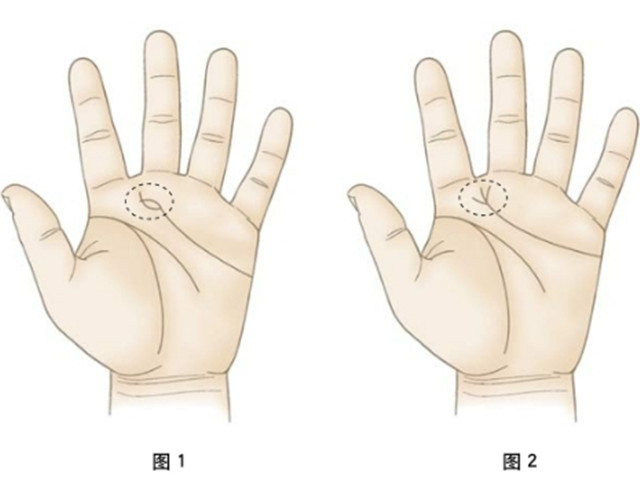 手相学：通过看手相可以预测到美好姻缘几时来到